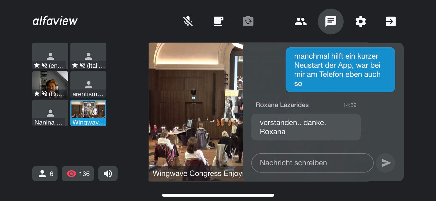 Videokonferenz mit Simultandolmetschung